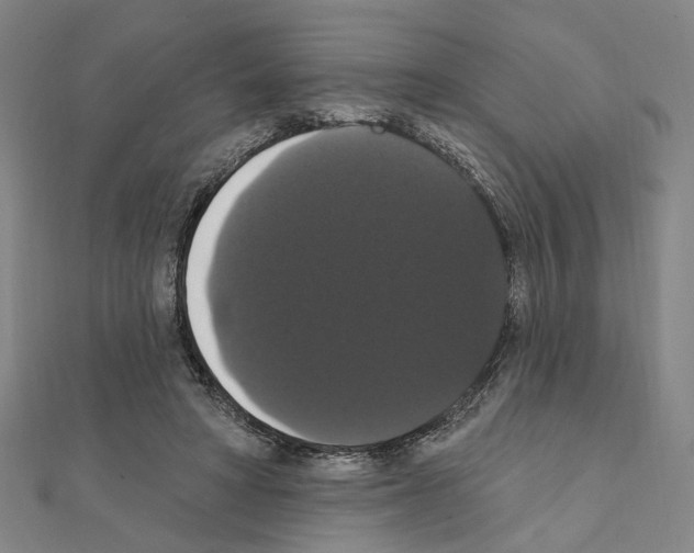 X0000111440402200908241148