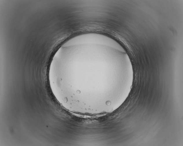 X0000111440403200908241148