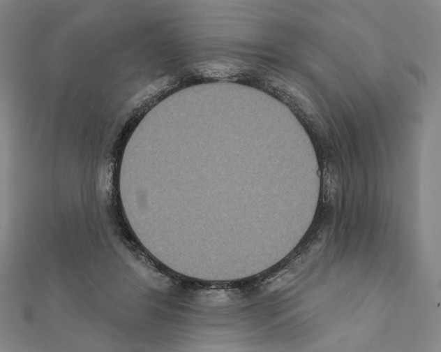 X0000111440404200908241148