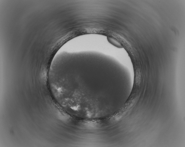 X0000111440405200908241148