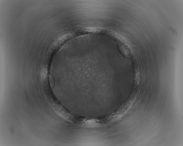 X0000111440407200908241148