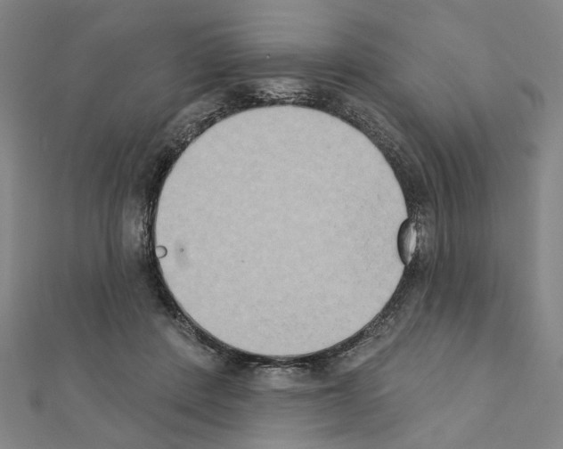 X0000111440408200908241148