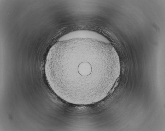 X0000111440409200908241148
