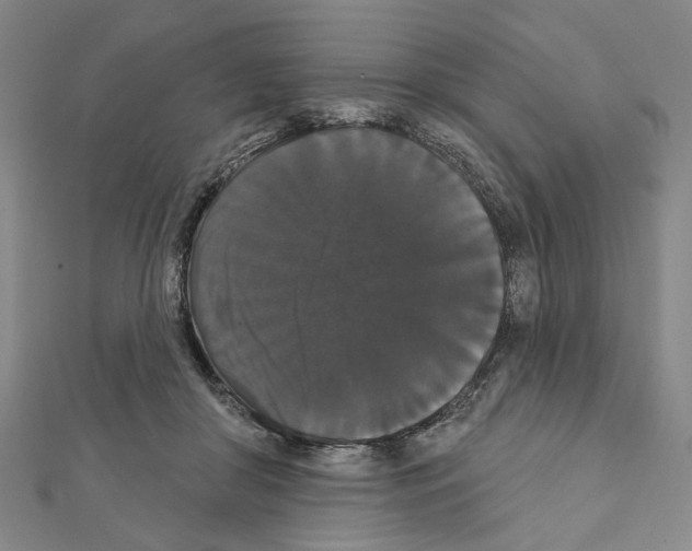X0000111440410200908241148