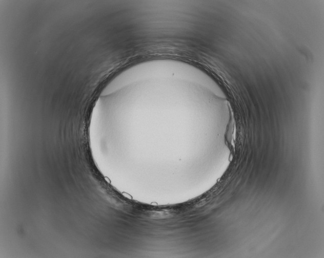 X0000111440411200908241148