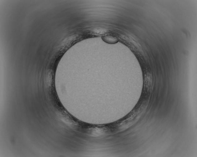 X0000111440412200908241148