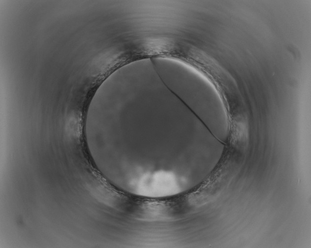 X0000111440413200908241148