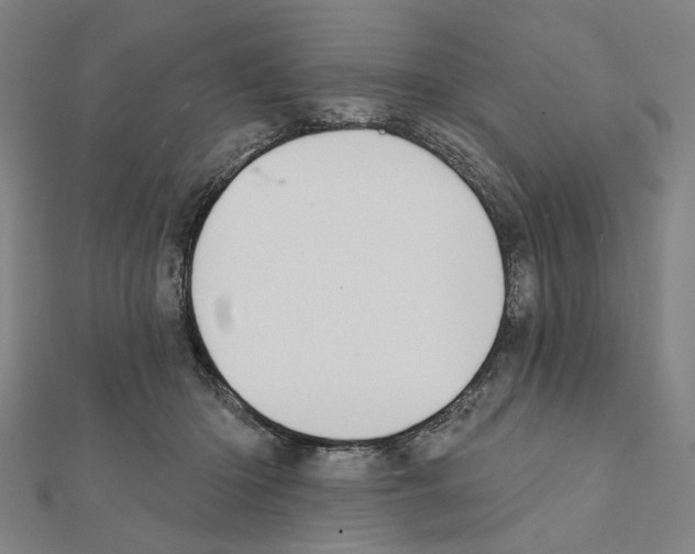 X0000111440414200908241148