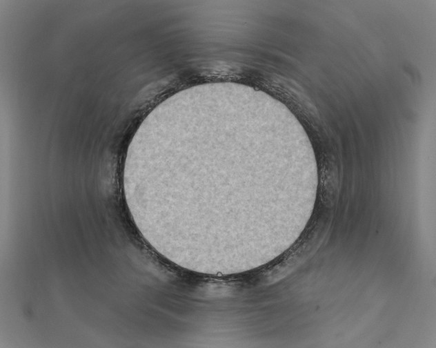 X0000111440416200908241148