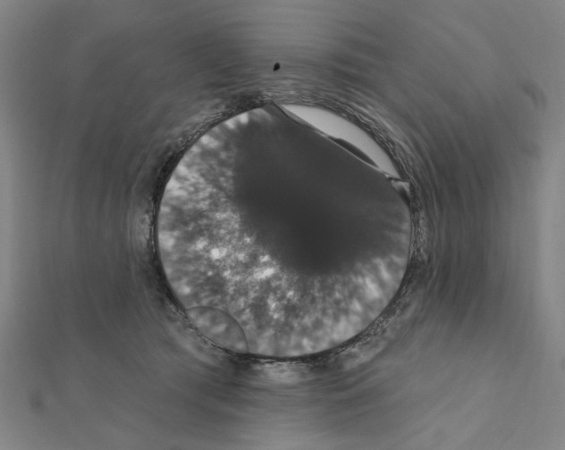 X0000111440417200908241148