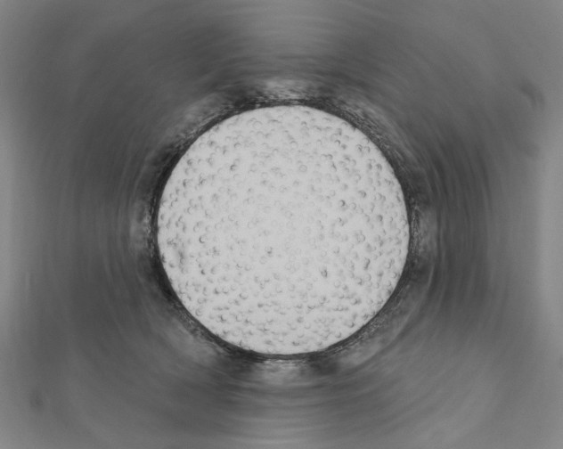 X0000111440418200908241148