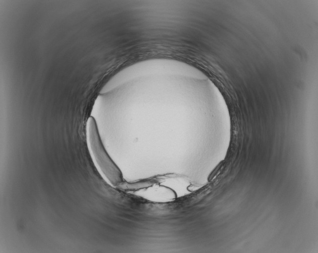 X0000111440419200908241148