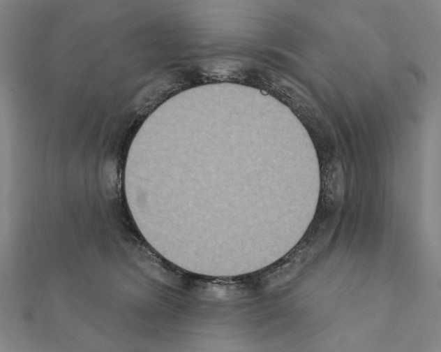 X0000111440420200908241148