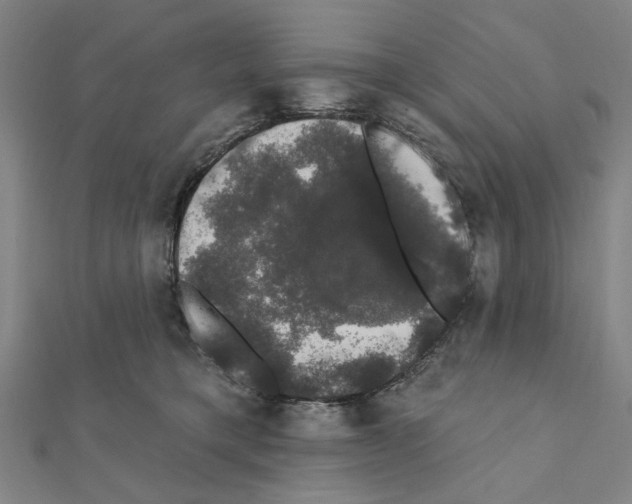 X0000111440421200908241148