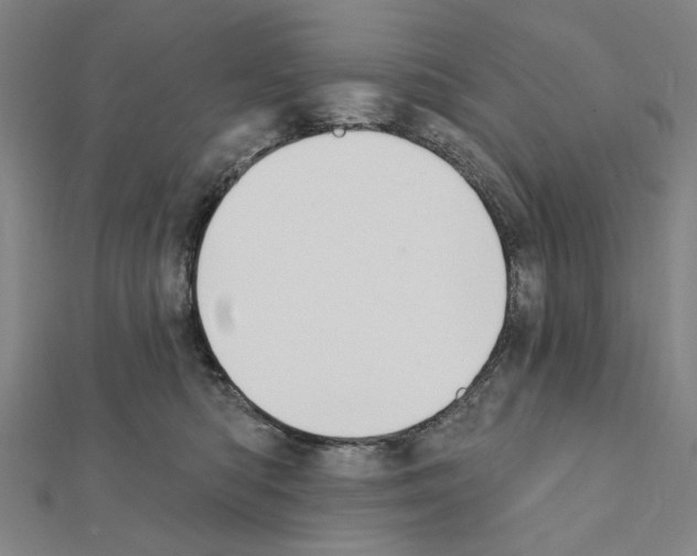 X0000111440422200908241148