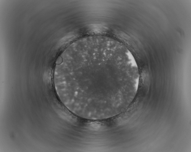 X0000111440423200908241148