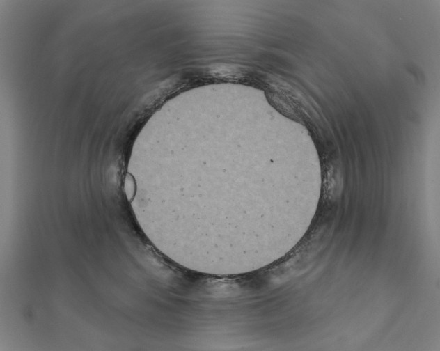 X0000111440424200908241148