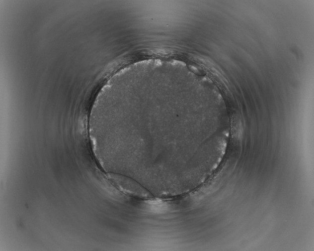 X0000111440425200908241148