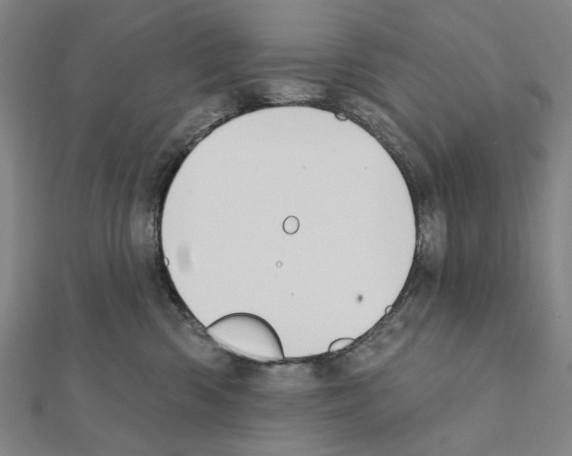 X0000111440426200908241148