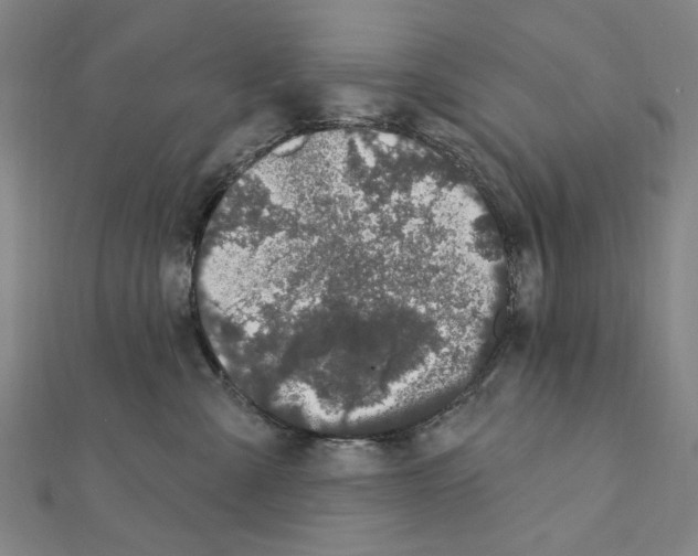 X0000111440427200908241148