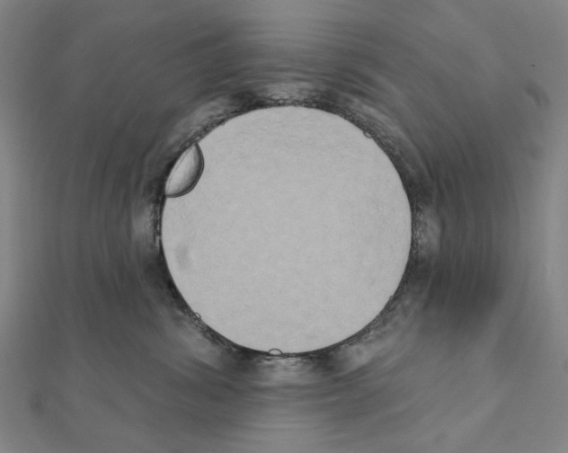 X0000111440428200908241148