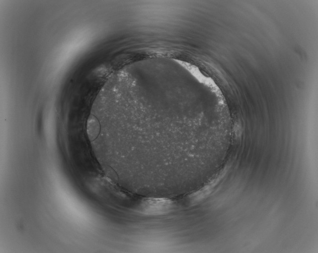 X0000111440429200908241148