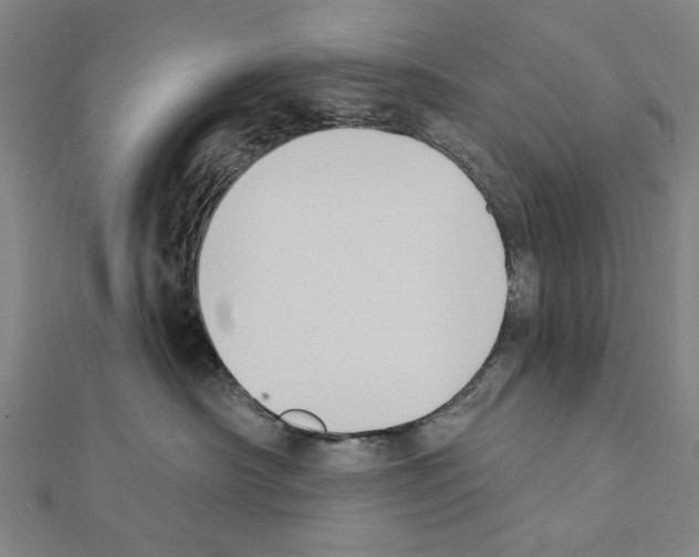X0000111440430200908241148
