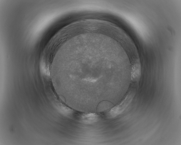 X0000111440431200908241148