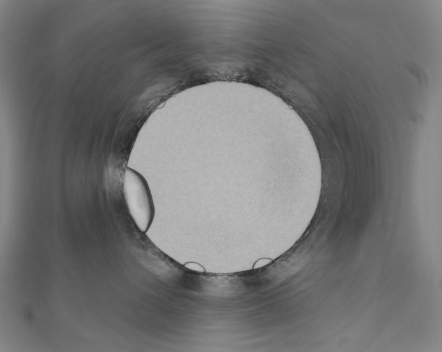 X0000111440432200908241148