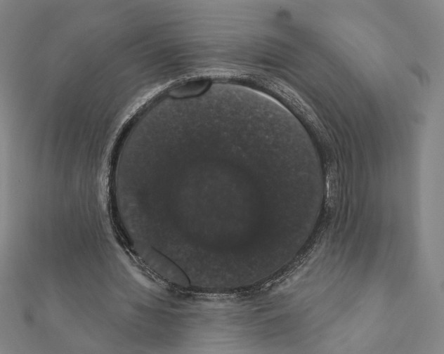 X0000111440436200908241147