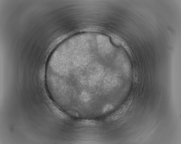 X0000111440437200908241147