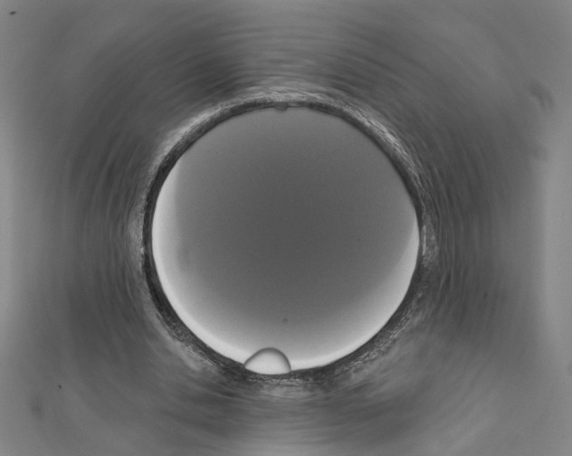 X0000111440438200908241147