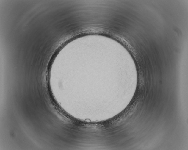 X0000111440439200908241147
