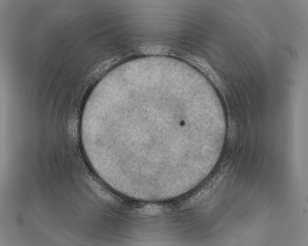 X0000111440441200908241147
