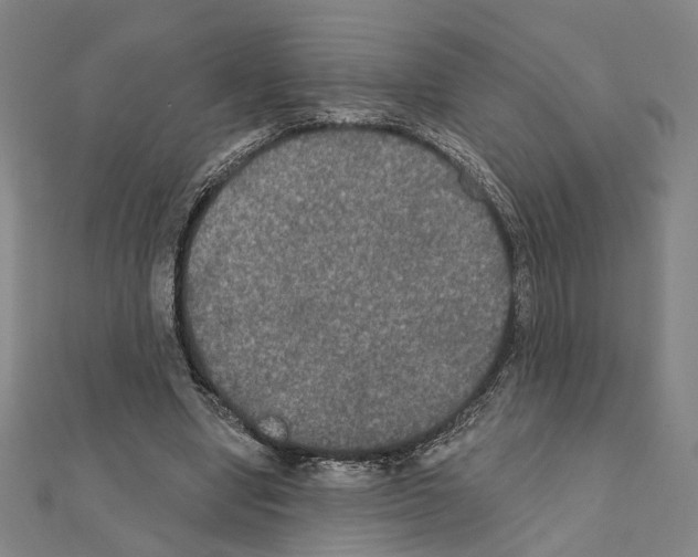 X0000111440442200908241147