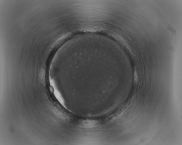 X0000111440444200908241147