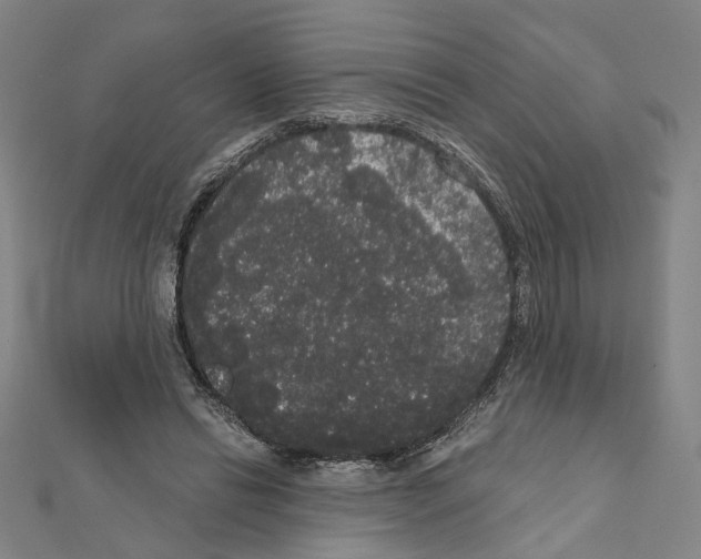 X0000111440446200908241147
