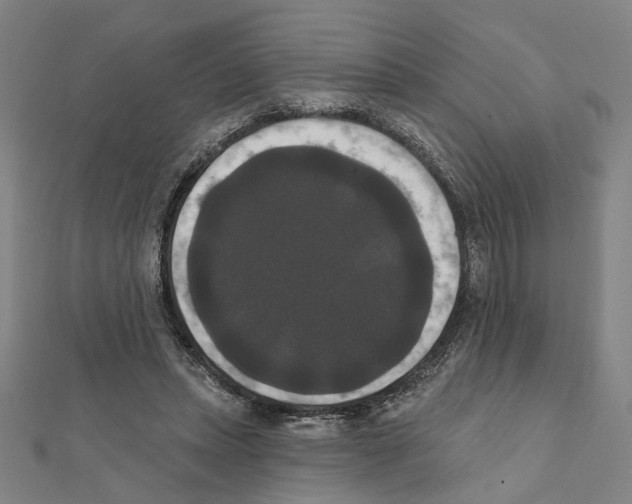 X0000111440447200908241147