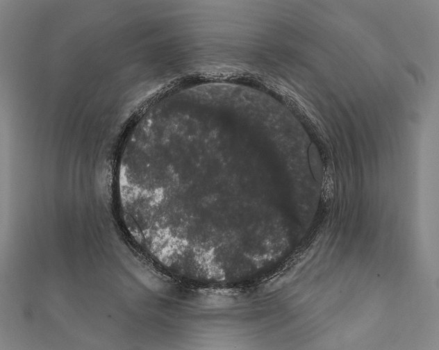 X0000111440448200908241147