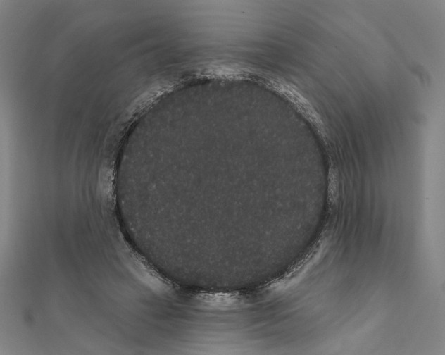 X0000111440449200908241147