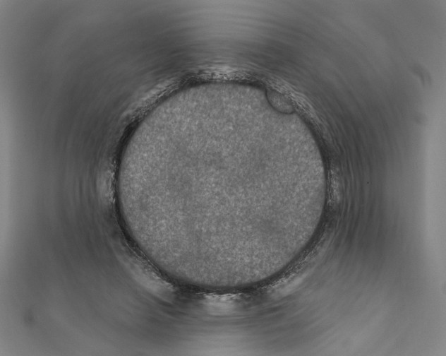 X0000111440450200908241147