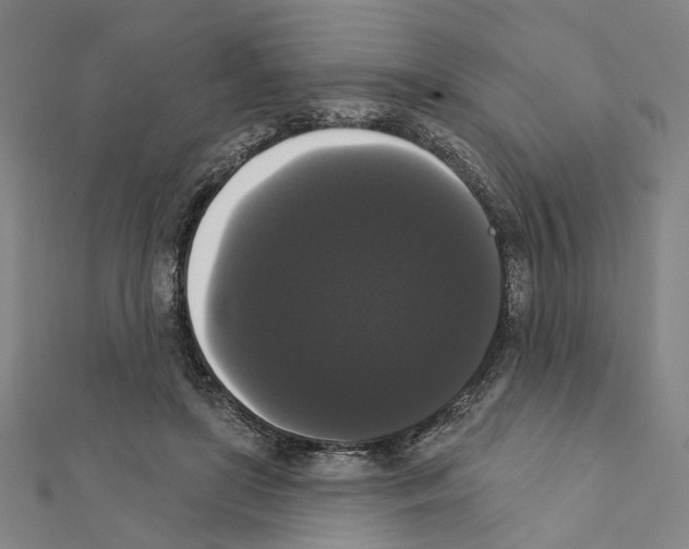 X0000111440451200908241147