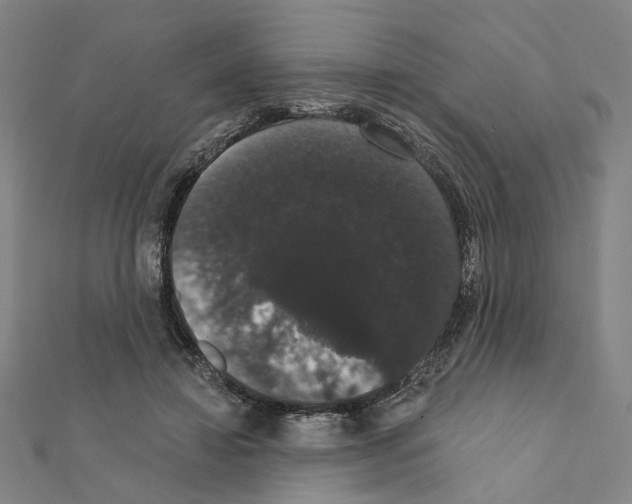 X0000111440452200908241147