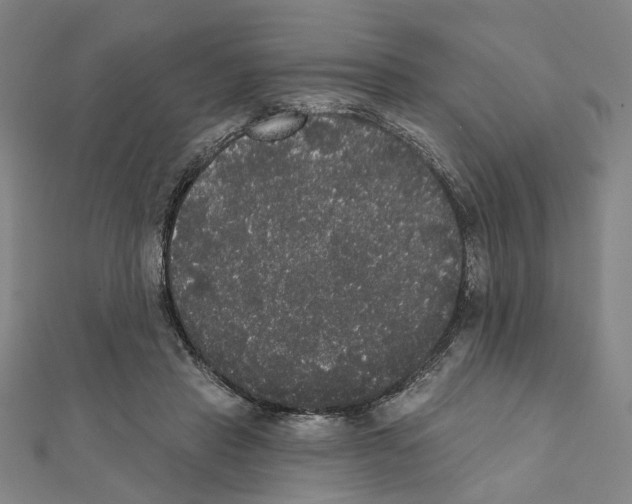 X0000111440453200908241147