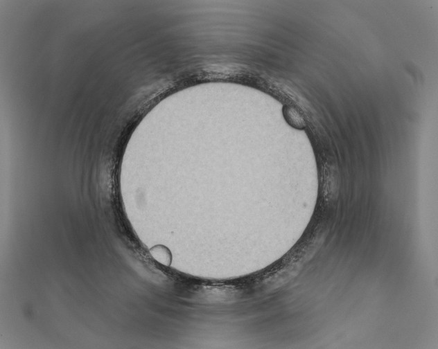 X0000111440455200908241148