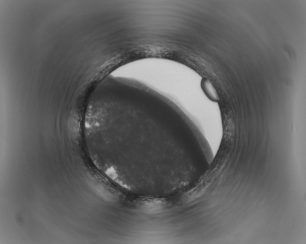 X0000111440456200908241148