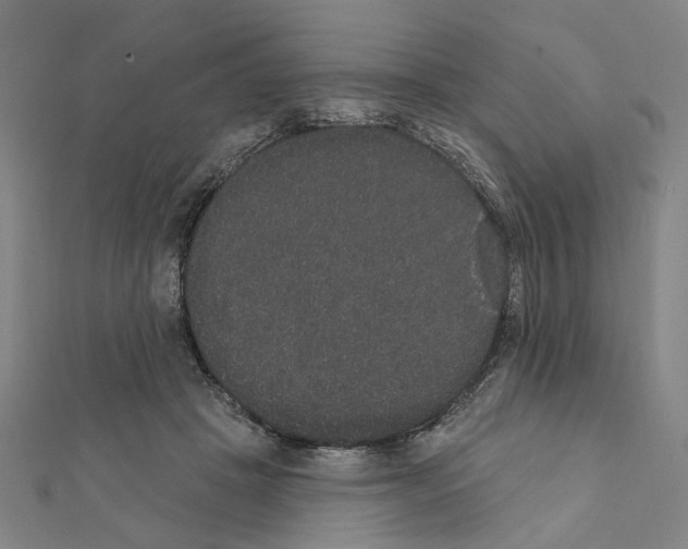 X0000111440457200908241148