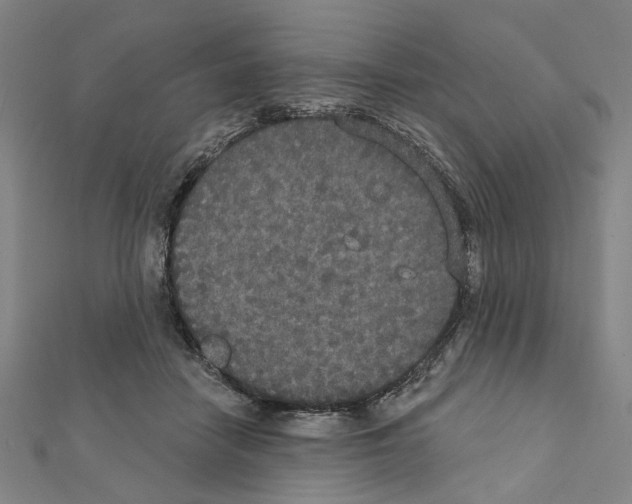 X0000111440458200908241148