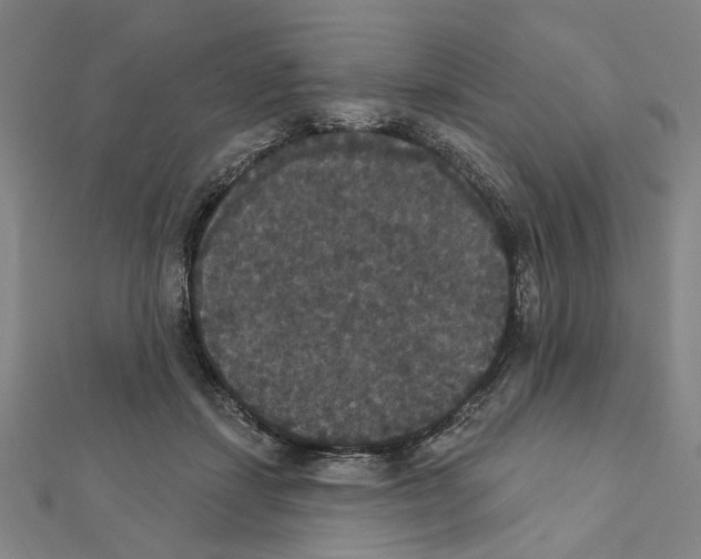 X0000111440459200908241148