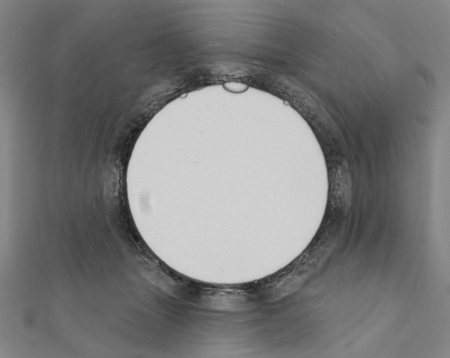X0000111440463200908241148